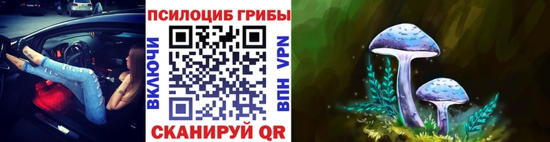Псилоцибиновые грибы MAGIC MUSHROOMS  Анива 